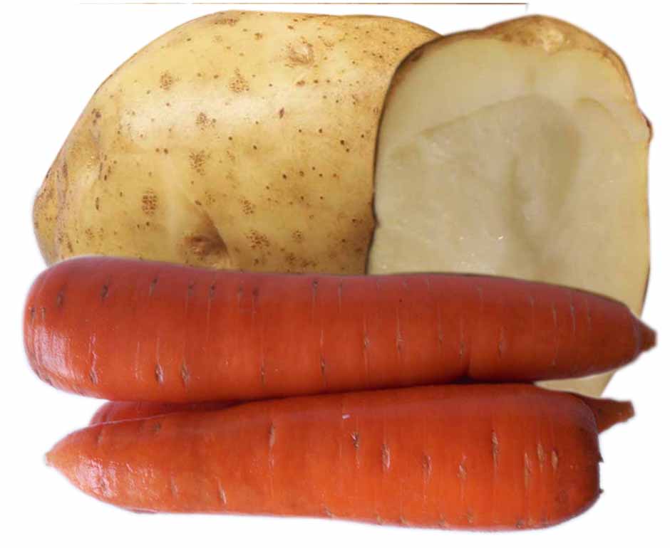  农业土地蔬菜大西洋荷兰克新土豆马铃薯代购加工出口贸易 