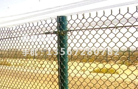 湖州森泰围栏-机场护栏网系列8