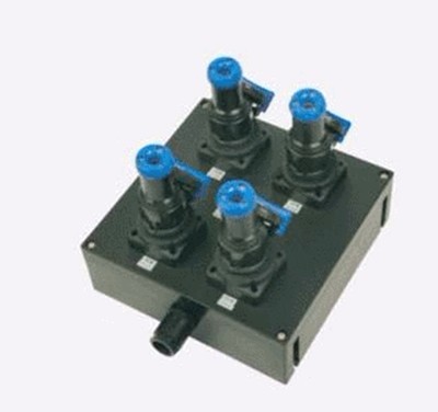 BXS8030系列防爆防腐电源插座箱（IIC）