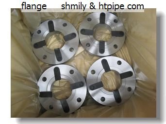 Duplex 2205 2507 2207 Flange
