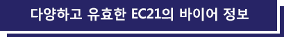 다양하고 유효한 EC21의 바이어 정보