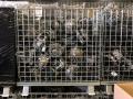 alternator Scrap What App No.+447943475552
