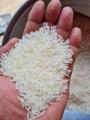 Jasmine Rice - Fragrant Rice - Long Grain White Rice - WHatsapp Number: +84968974137