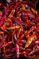 Dry Red Chilli
