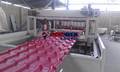 Plastic PVC+ASA Spanish Antique Glazed Roof Tile Making Machine Production Line
