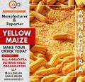 Yellow Maize Indian Origin