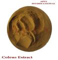 Coleus Extract