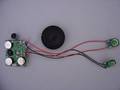 Sound Module