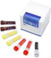 COVID19 Test Kit