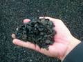 Palm Kernel Shell
