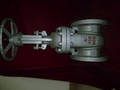 API/ANSI Gate Valve