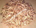 Dry Shrimp Shell