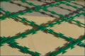 PVC Coated Razor Wire