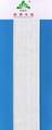 Regular Elastic Webbing
