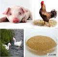 Poultry Feed Additives Choline Chloride 60% Feed Grade
