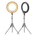 Wireless Control LED Ring Light 19-inch Beauty Makeup Fill Lamp 3000K-5800K