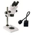Microscope, Binocular with Halogen Light Source