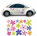 Car Sticker