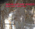 Indian Autumn Stone Veneer