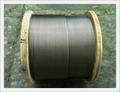 Stainless Steel Wire Rope