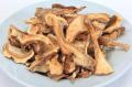Dried Mossiness Mushroom