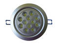 LED Ceiling Light
