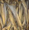 Dried Stockfish Cod,Saithe,Cod Fish, Head - Stockfish