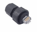 Waterproof RJ45 Plug Shielded Type, IP67