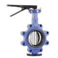 Cast Iron Stainless Steel Wafer Type Lug Type Butterfly Valve