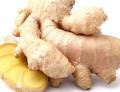 Supply Frozen Ginger Paste/ Fresh Ginger with Premium Quality (+84 338 477 618)