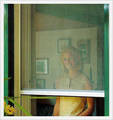 Insect Screen Net