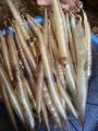 Fish Maw Dry