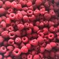 Frozen Raspberry