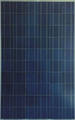 Poly Crystalline Solar Panel/Module