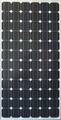 Mono Crystalline Solar Panel/Module