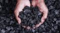 Coal, Thermal Coal, and Athracite Coal