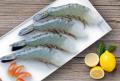 Frozen Seafood (Fresh Water Fish, Sea Water Fish, Shrimp, Cephalopods, Clam, Seafood Mix..)