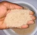 Buy Wheat Bran in Bulk for Animal Feed