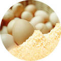 Egg powder