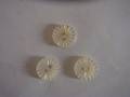 Shell Button