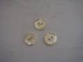 Shell Button