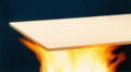 Gypsum board