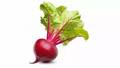 Red Beet Root Juice Powder Color Value=2.5,3,4.5
