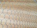 Galvanized Hexagonal Wire Mesh