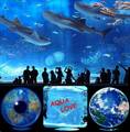 Microcontroller Operated Fish Feeder System for Intensive Fish Farms - NEW PRODUCT for GLOBAL MARKET