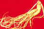 Ginseng P.E.