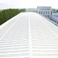 Liquid Rubber Polyurethane Waterproof Coating for Roof Wall