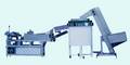 Syringe Auto Feeding-Loading Machine for Blister Packing
