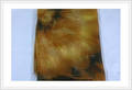 Polyester Fabrics