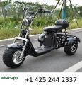 Adult Electric 3 Wheel Scooter 2000W Motor Max Speed 35-45KM/H Max Load 250KG